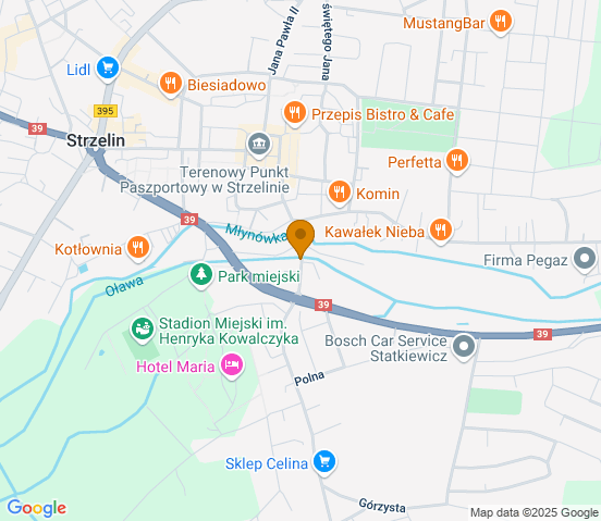 Mapa dojazdu do hurtowni motoryzacyjnej w miejscowości Strzelin