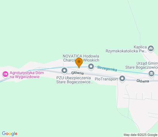Mapa dojazdu do warsztatu samochodowego w miejscowości Stare Bogaczowice