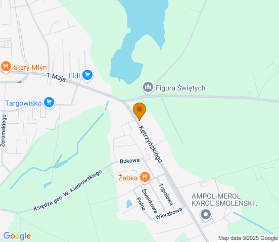 Mapa dojazdu do warsztatu samochodowego w miejscowości Wąbrzeźno