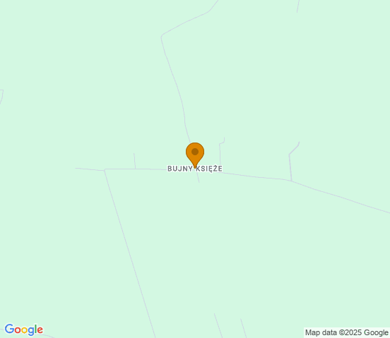 Mapa dojazdu do warsztatu samochodowego w miejscowości Zelów