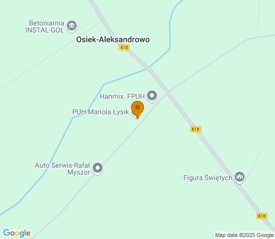 Mapa dojazdu do warsztatu samochodowego w miejscowości Osiek-Aleksandrowo