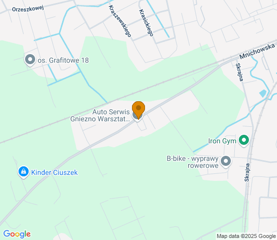 Mapa dojazdu do warsztatu samochodowego w miejscowości Gniezno