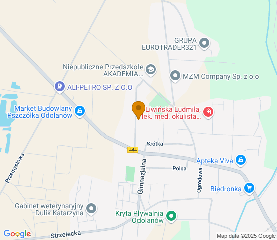 Mapa dojazdu do warsztatu samochodowego w miejscowości Odolanów